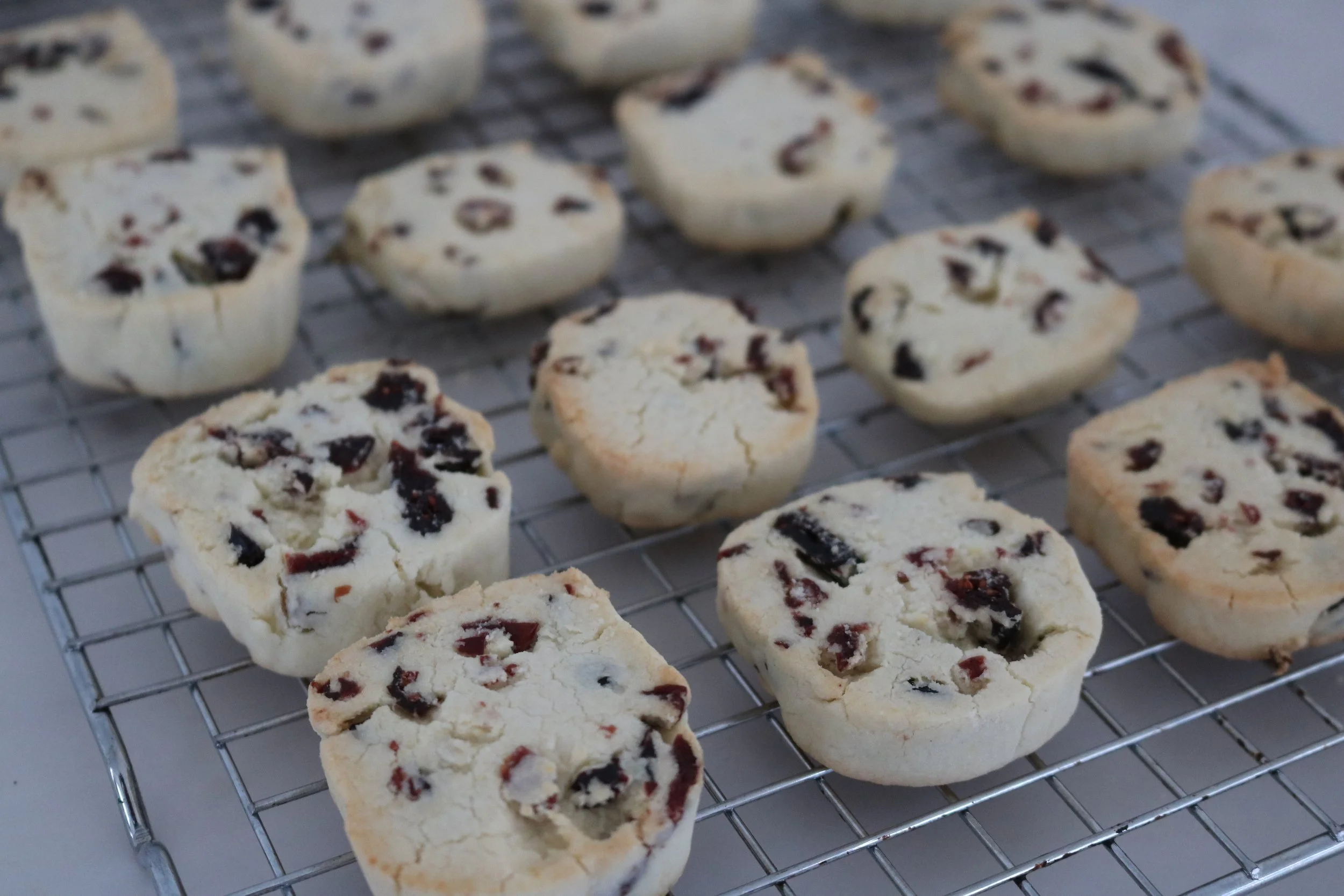 Gluten-Free Cranberry Rice Cookies