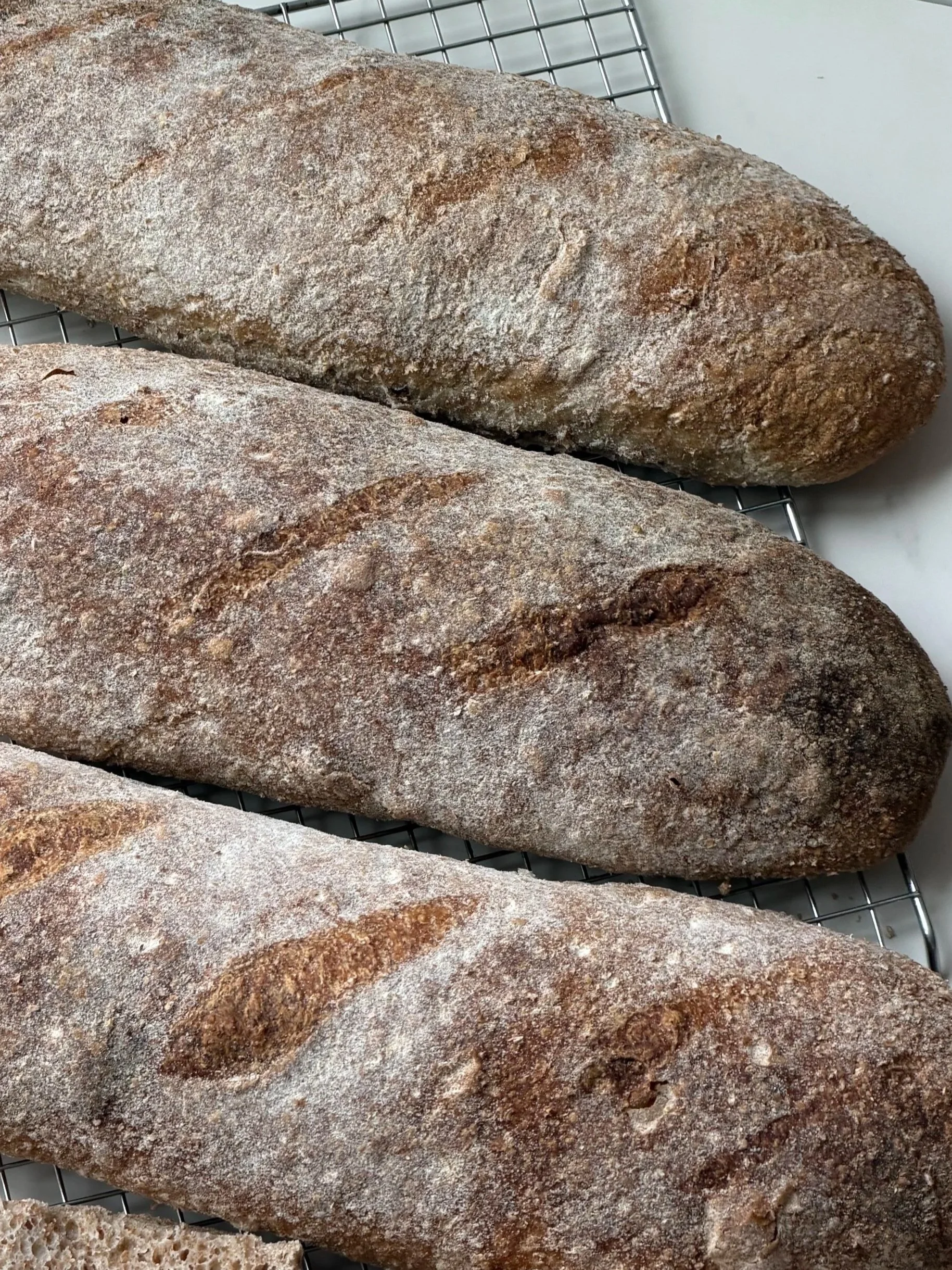 Whole Wheat Bread