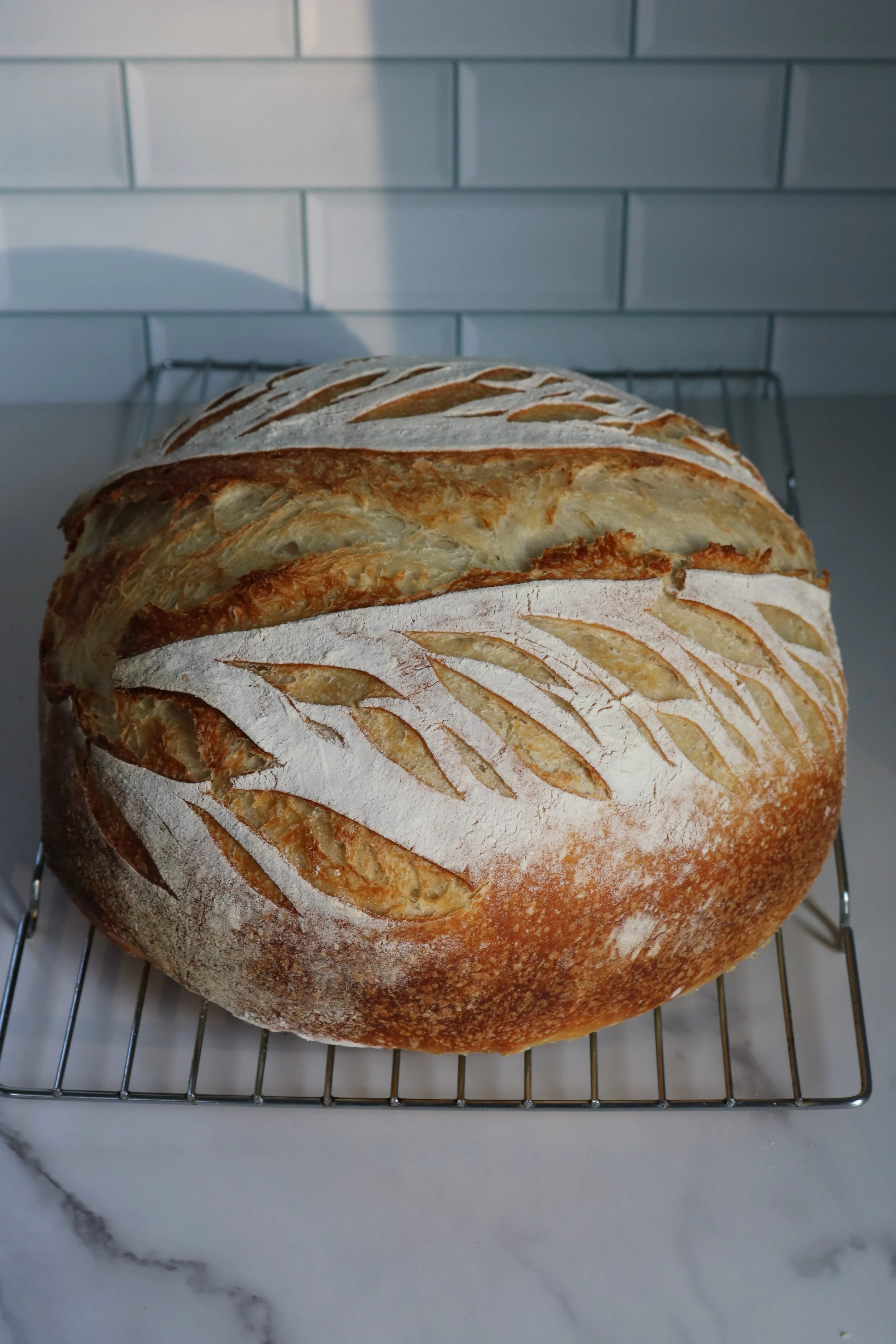 Round Sourdough