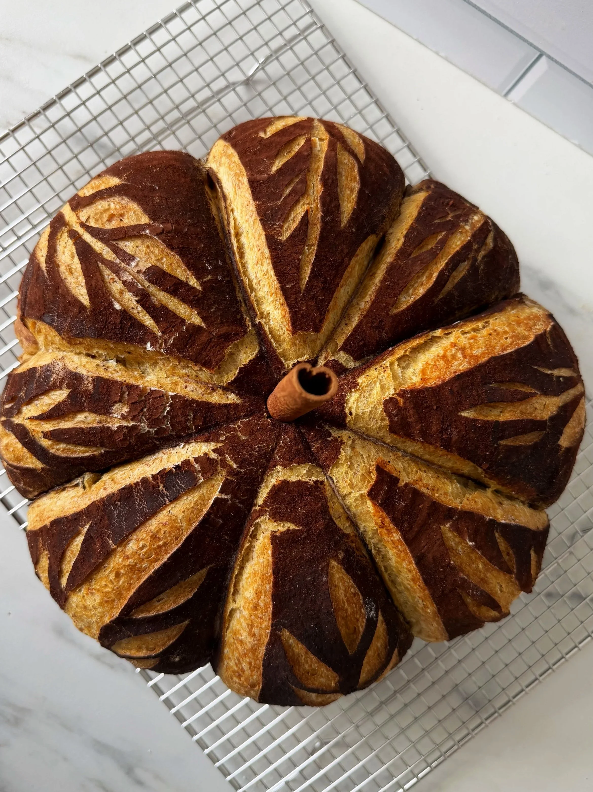 Sourdough Pumpkin & Chocolate Bread