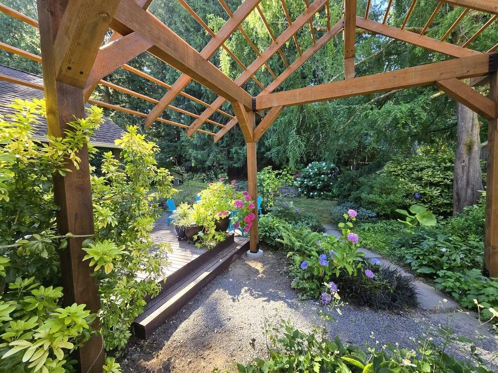Timber frame pergola posts and rafters framing the backyard deck and garden