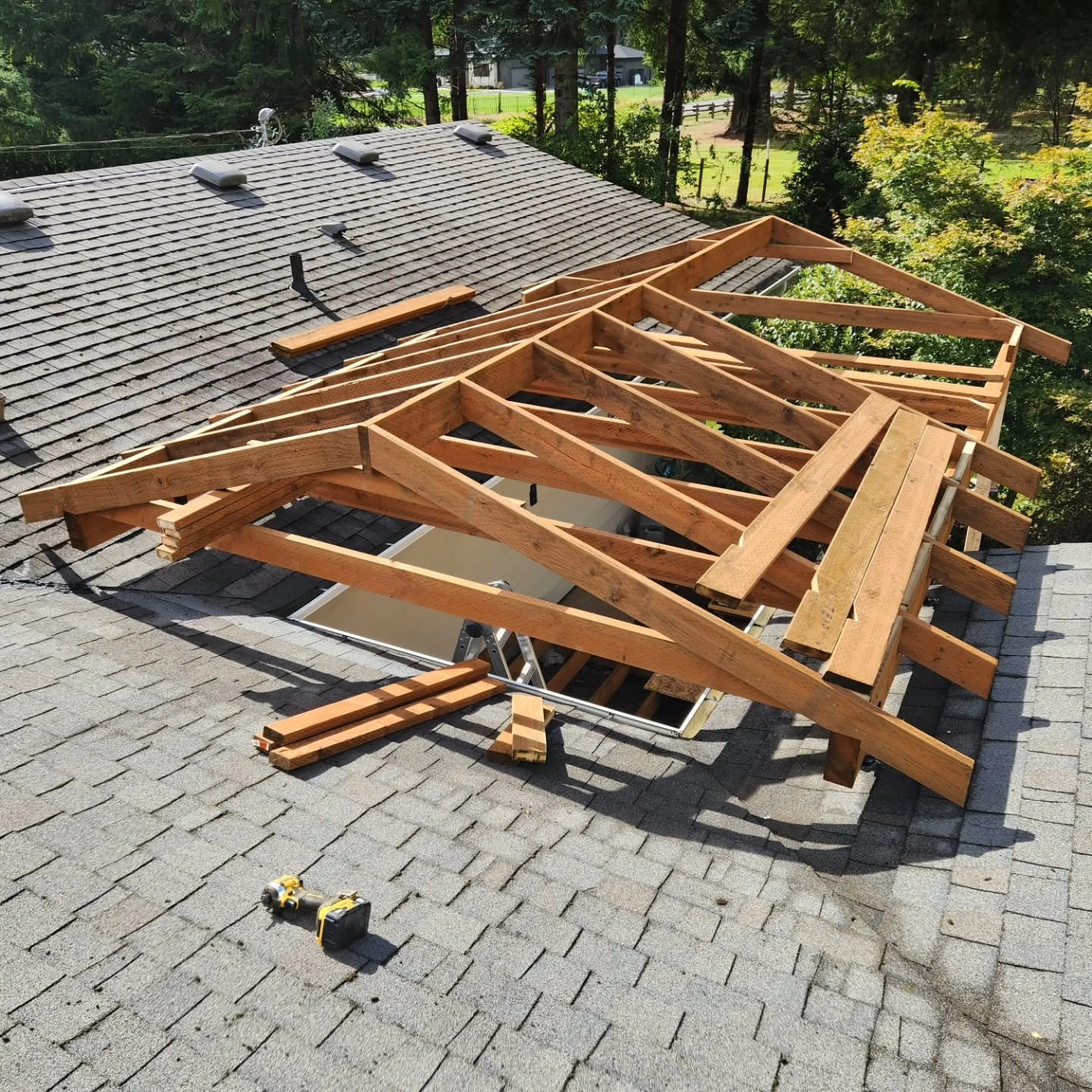 New outdoor living space in progress!