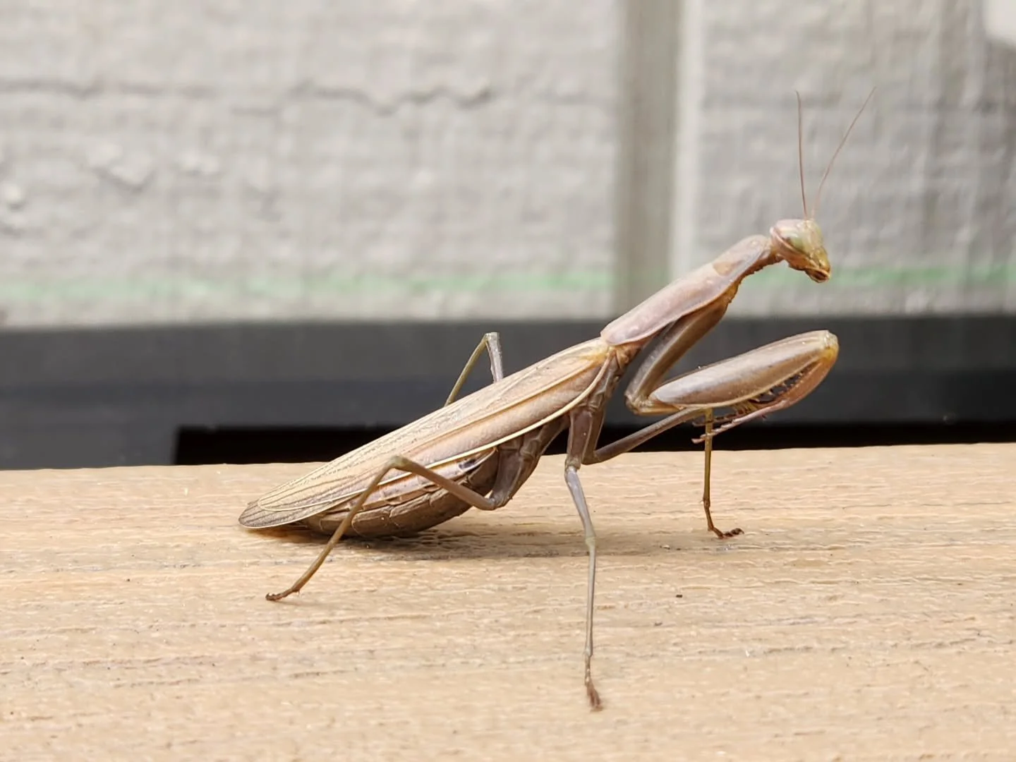 There's something off with our new supervisor, can't put my finger on it...🤔