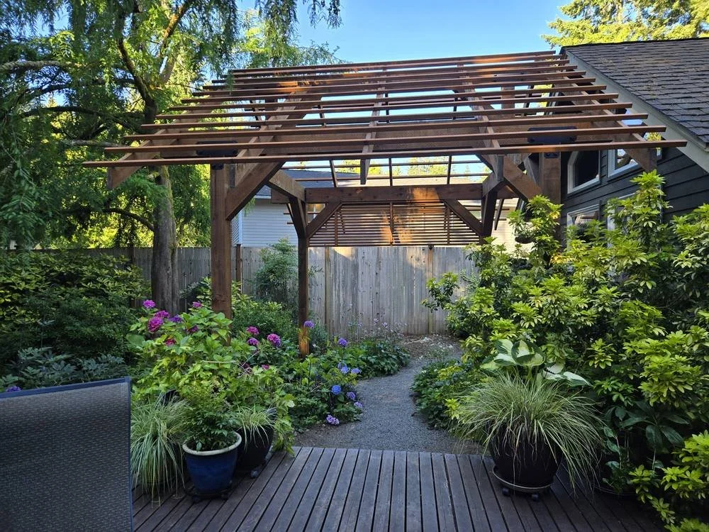 Timber frame pergola with privacy screen viewed from the back deck and garden path