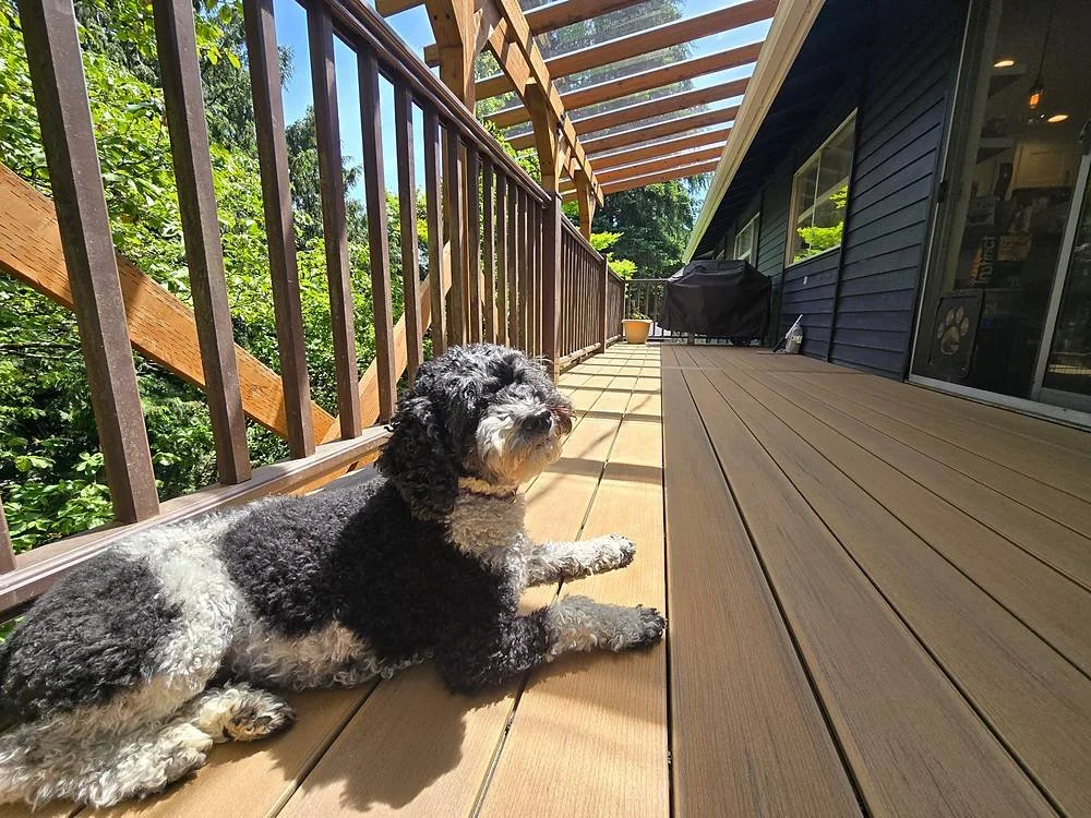 Family dog relaxing on the new TimberTech composite deck