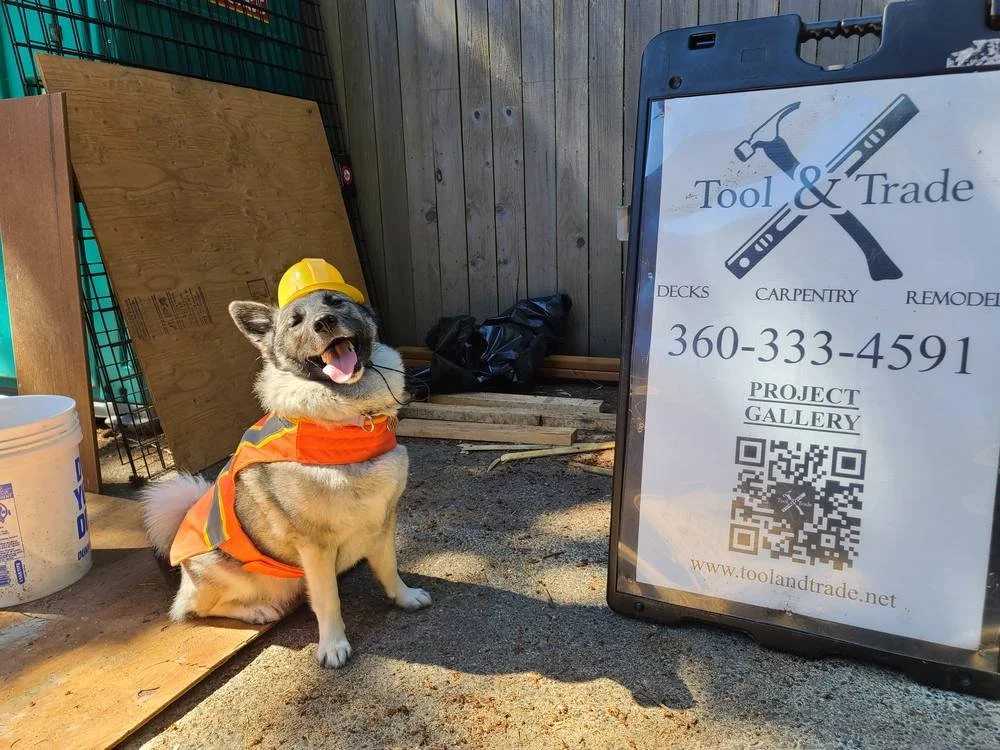Freya the dog in a hard hat and safety vest supervising the deck build
