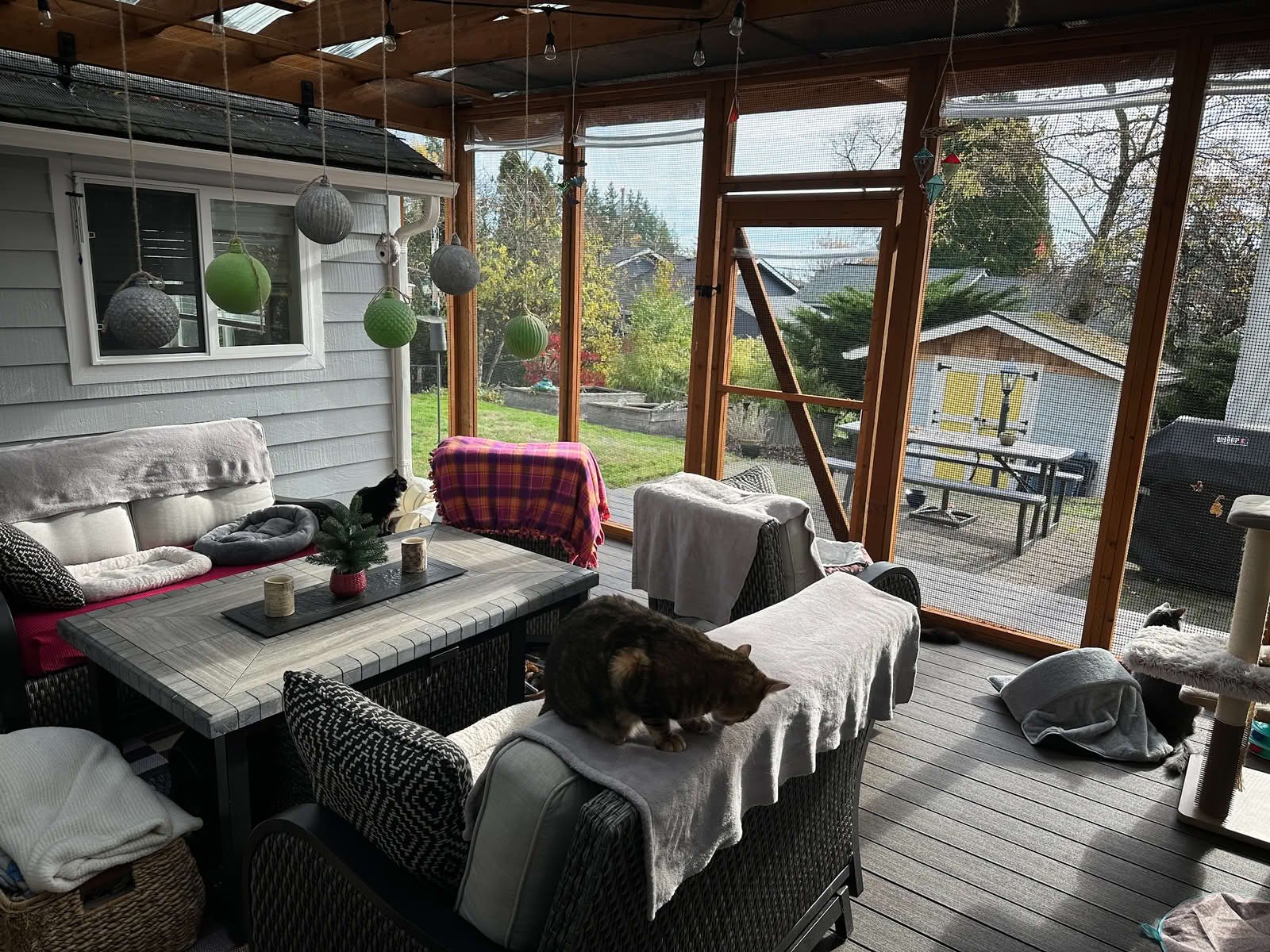 Custom Catio Project