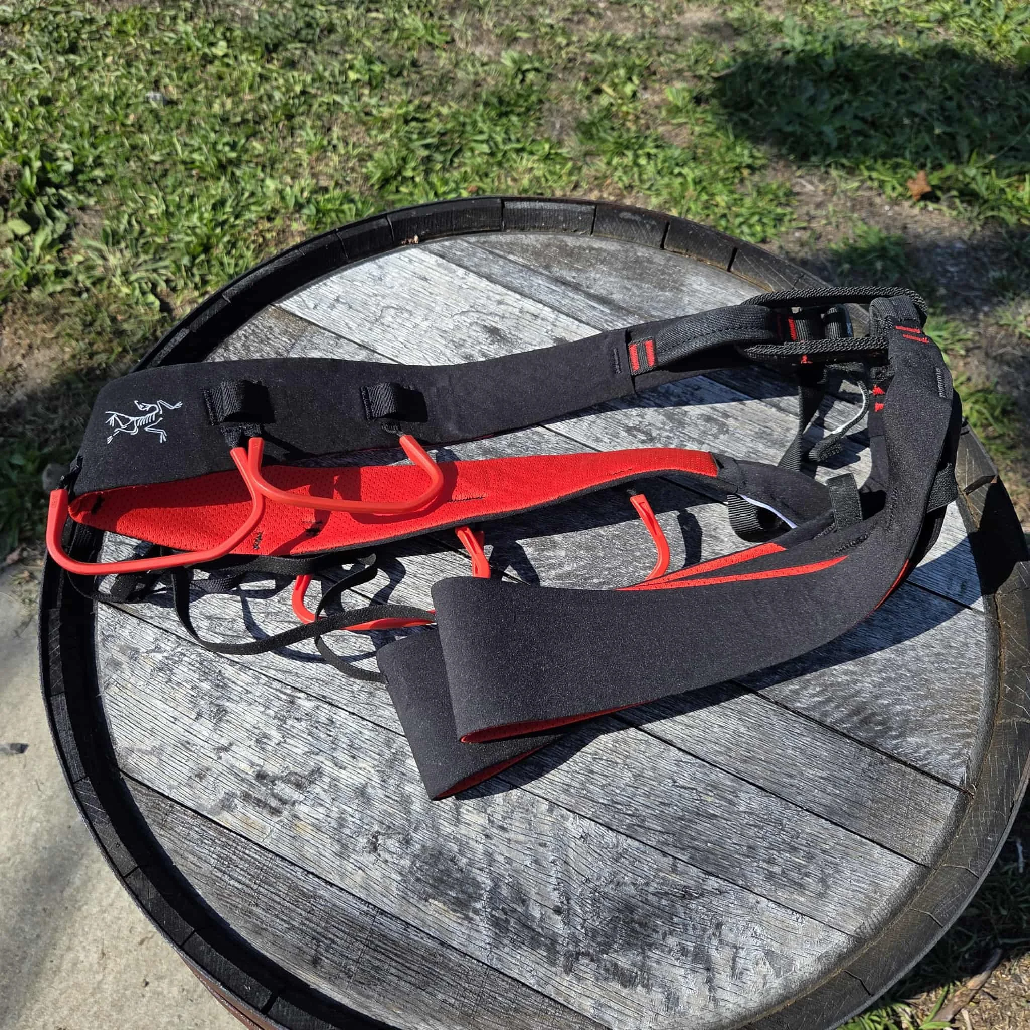 Arc'Teryx C-Quence Harness (Women's Large)