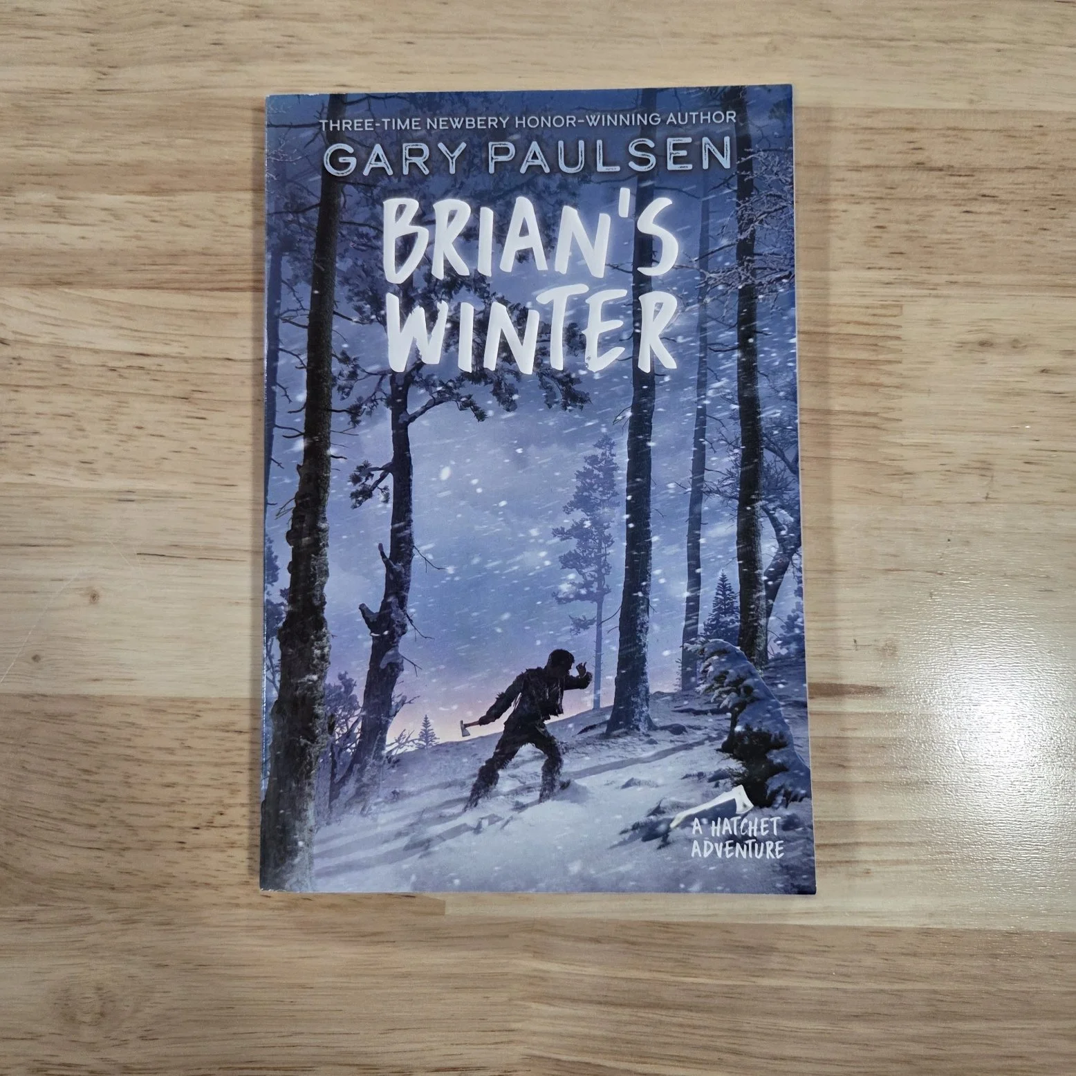 Brian's Winter