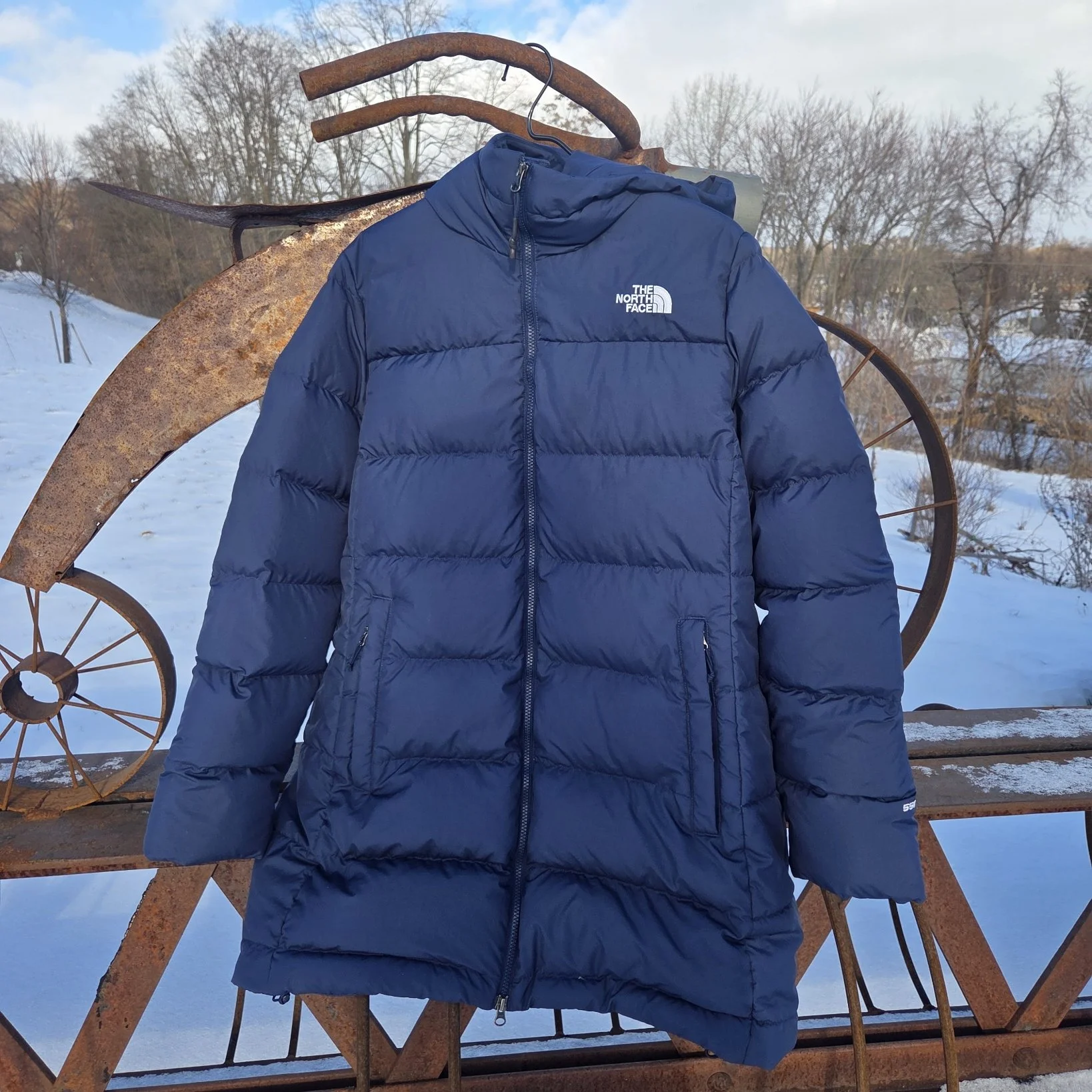 The North Face Gotham Parka (Women's XXLarge)
