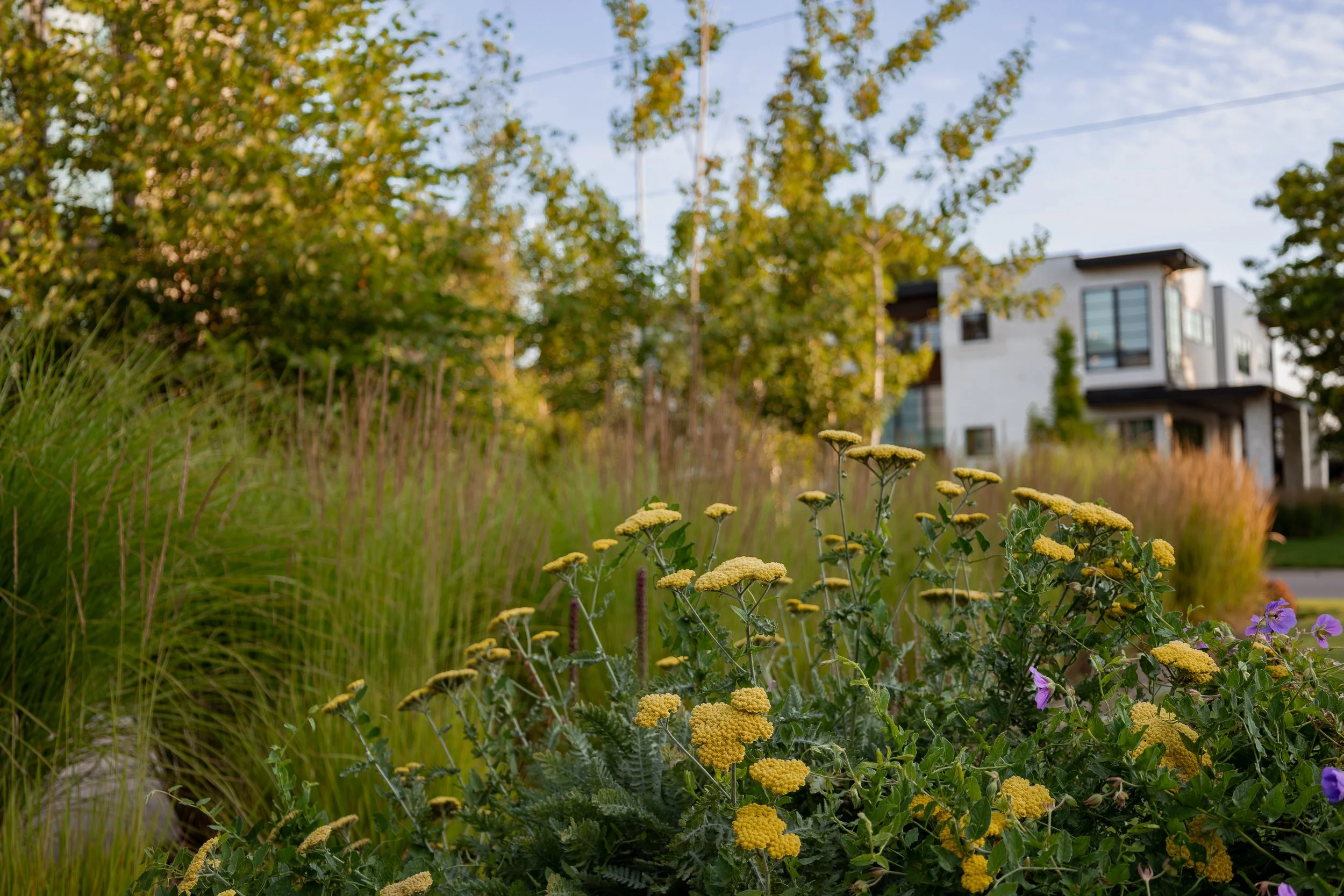 2025 calendar photos-52.jpg