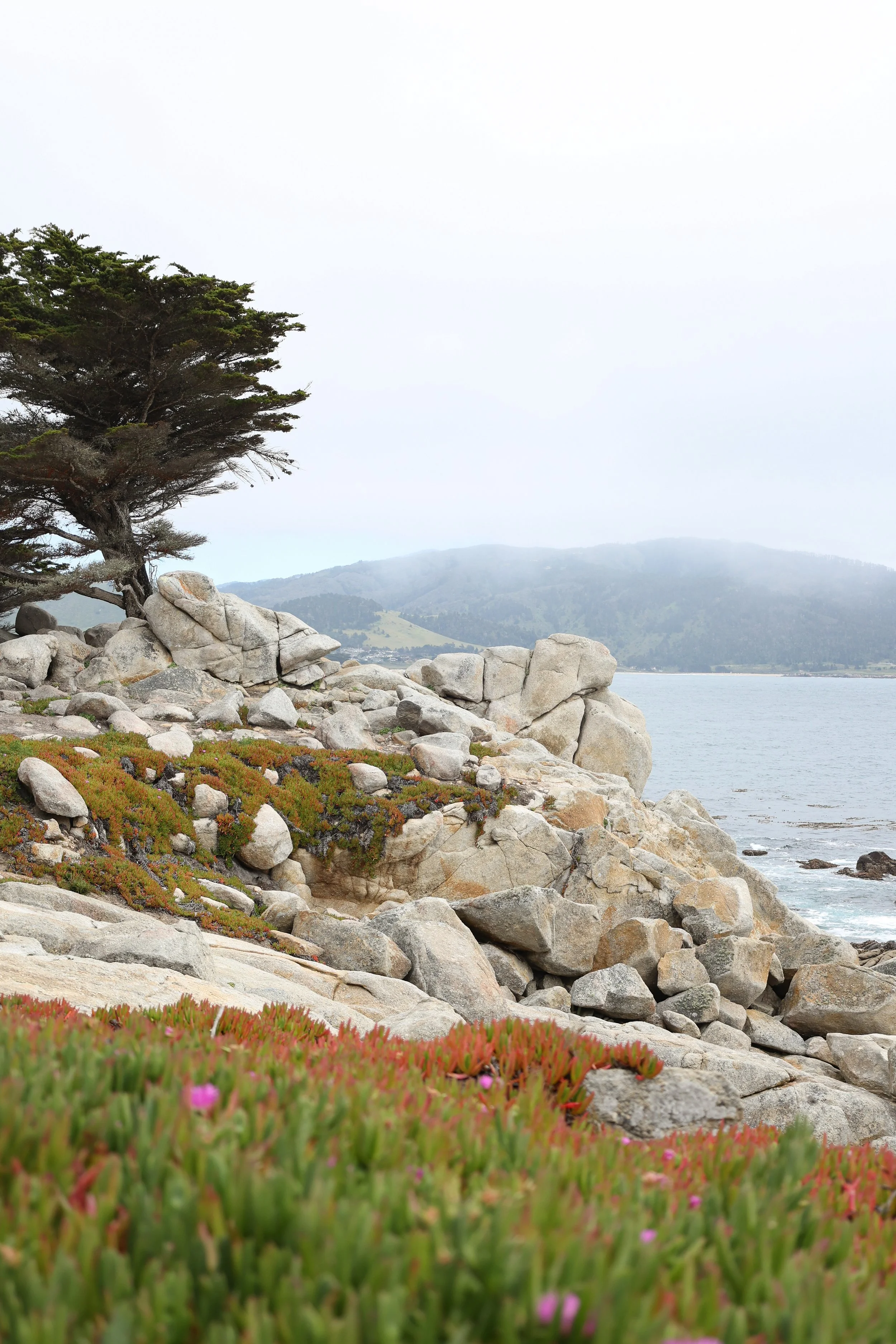 2024 calendar-47.jpg