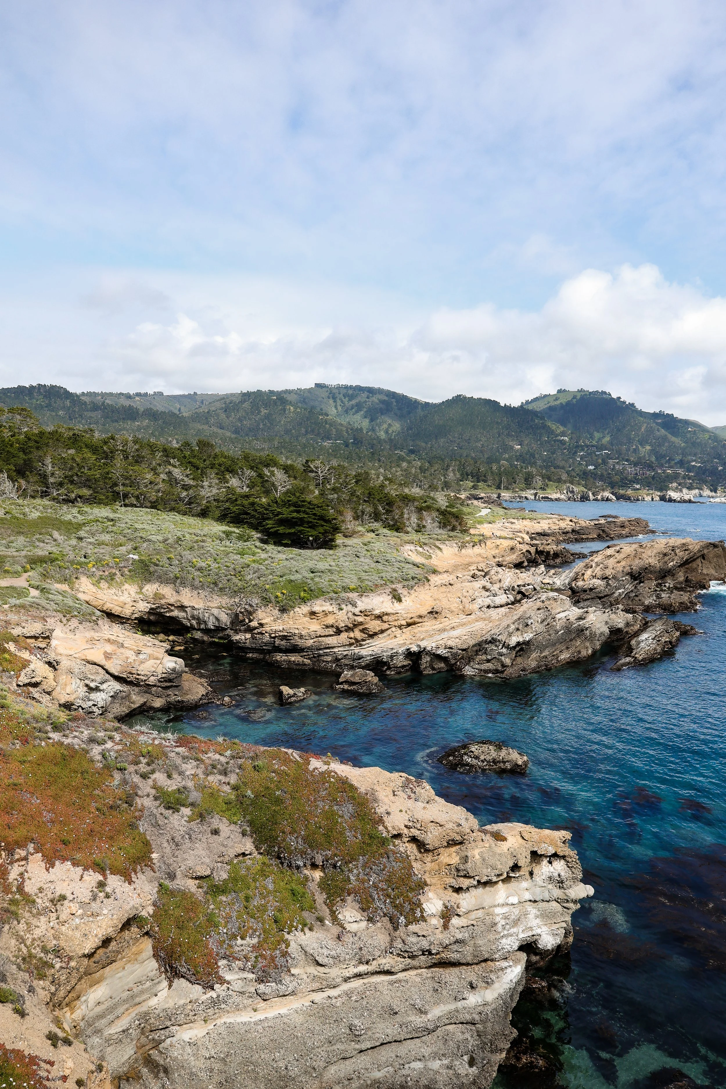 2024 calendar-40.jpg