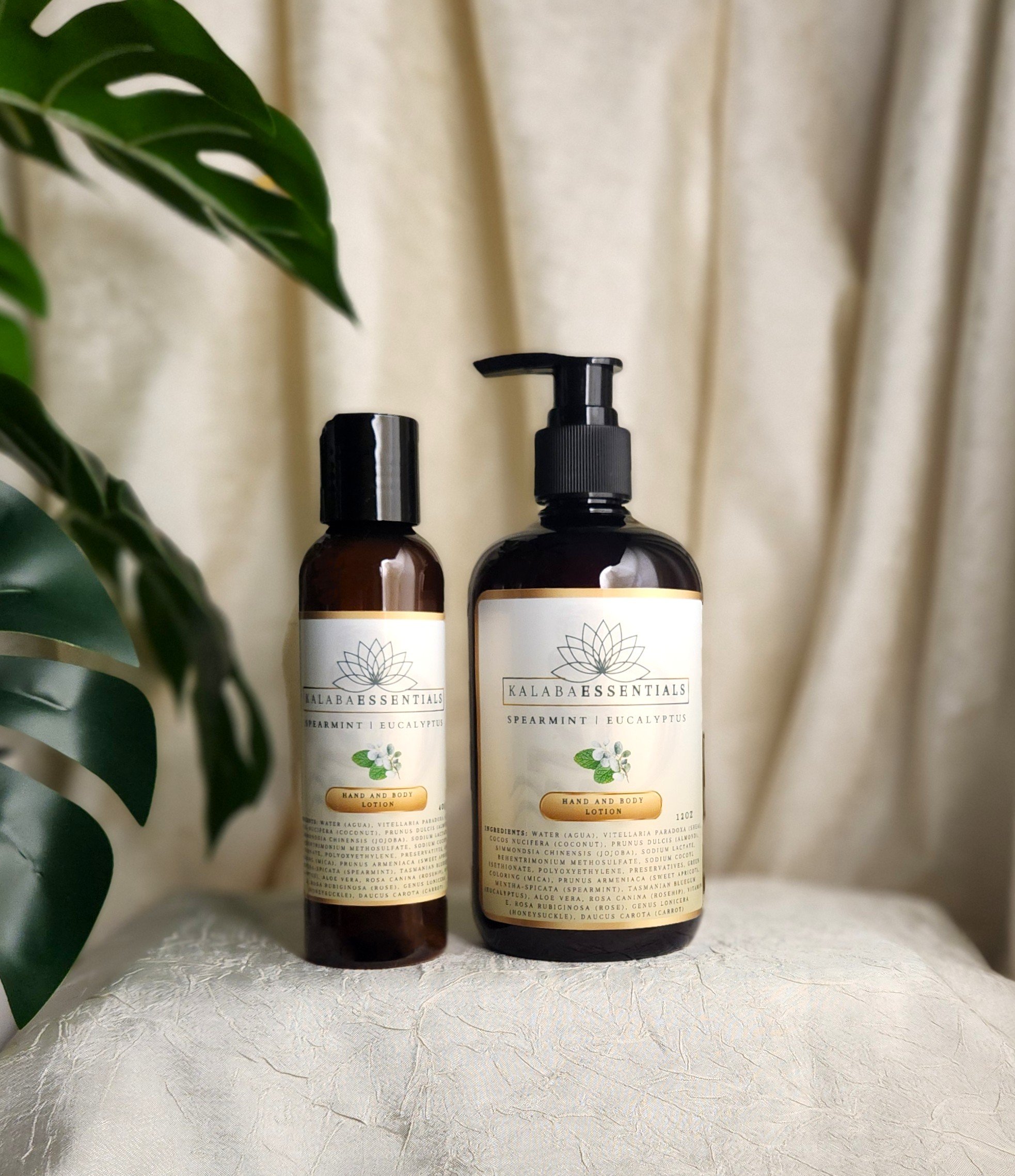 SPEARMINT EUCALYPTUS - set 1.jpg