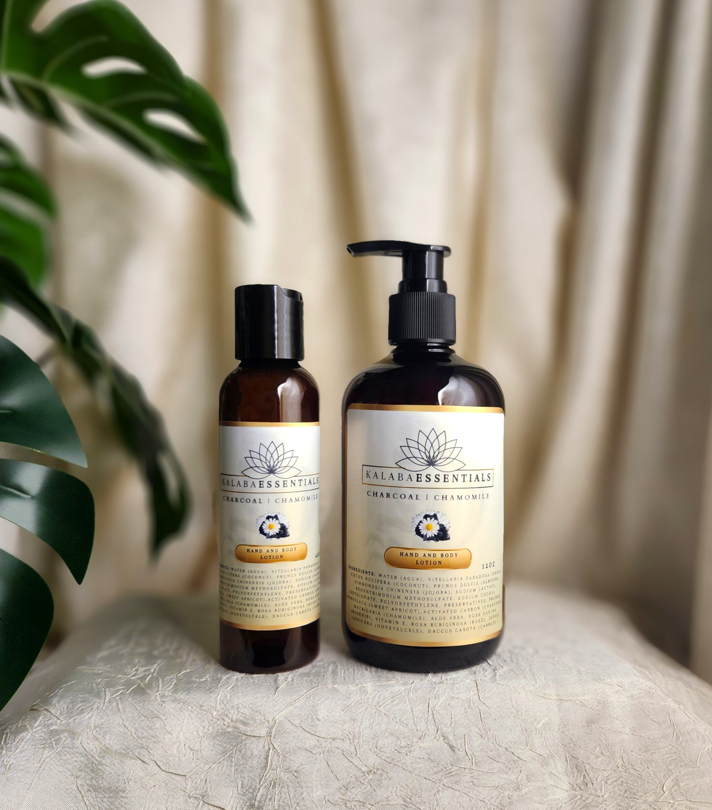 CHARCOAL CHAMOMILE -set 1.jpg