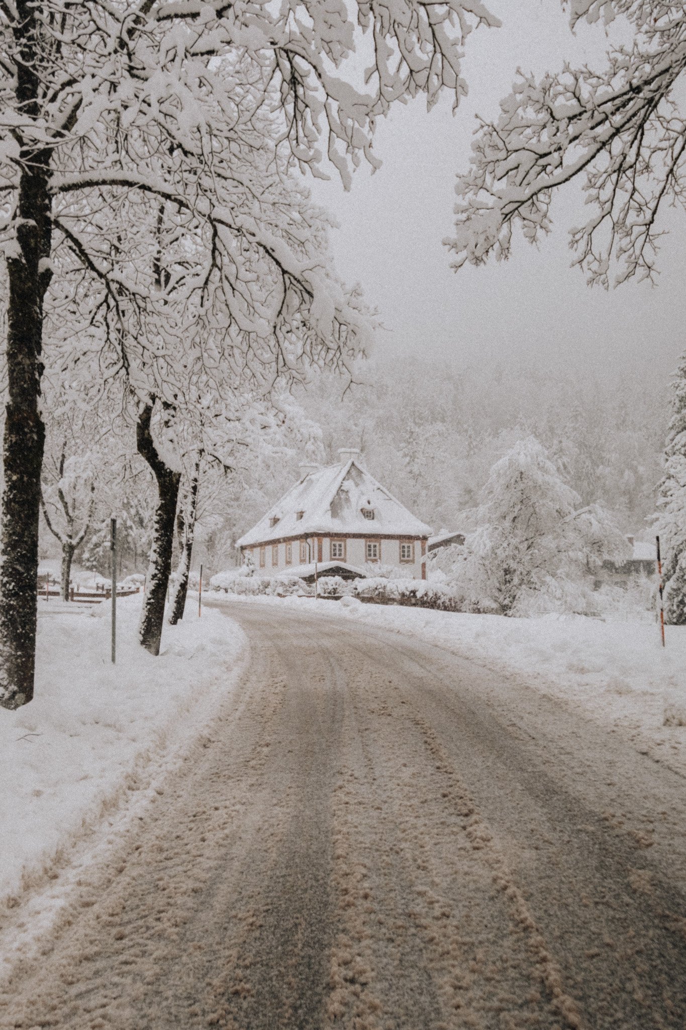 PYRENEES