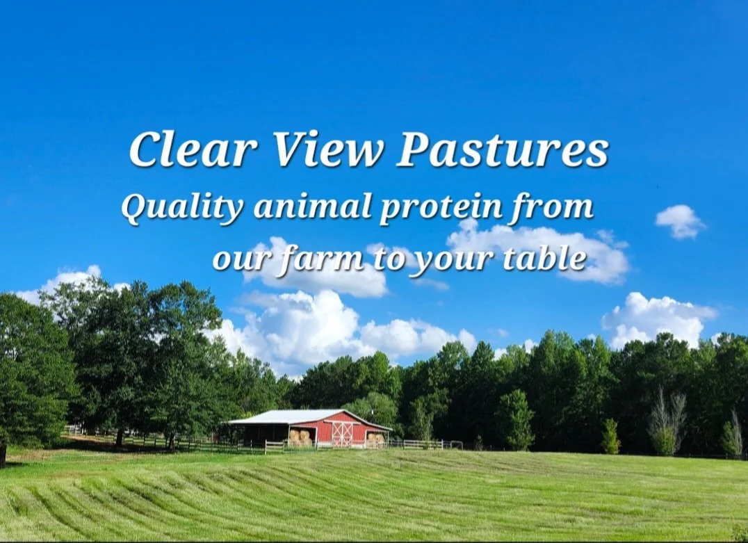 Clear View Pastures 
