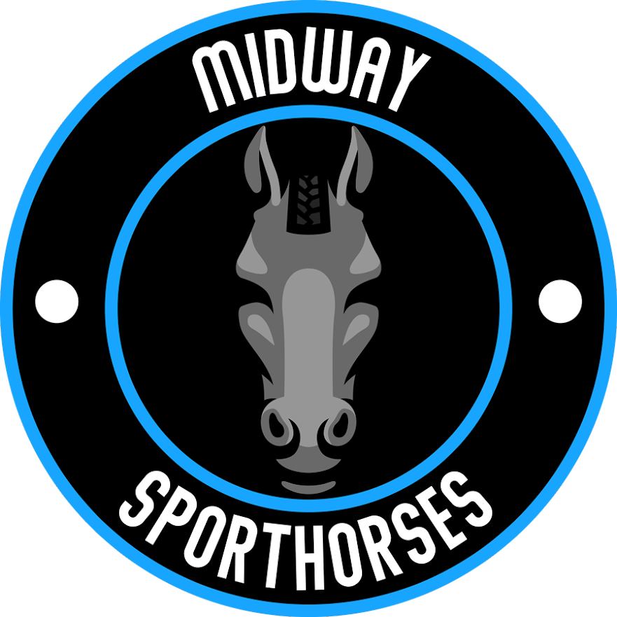 midwaysporthorses