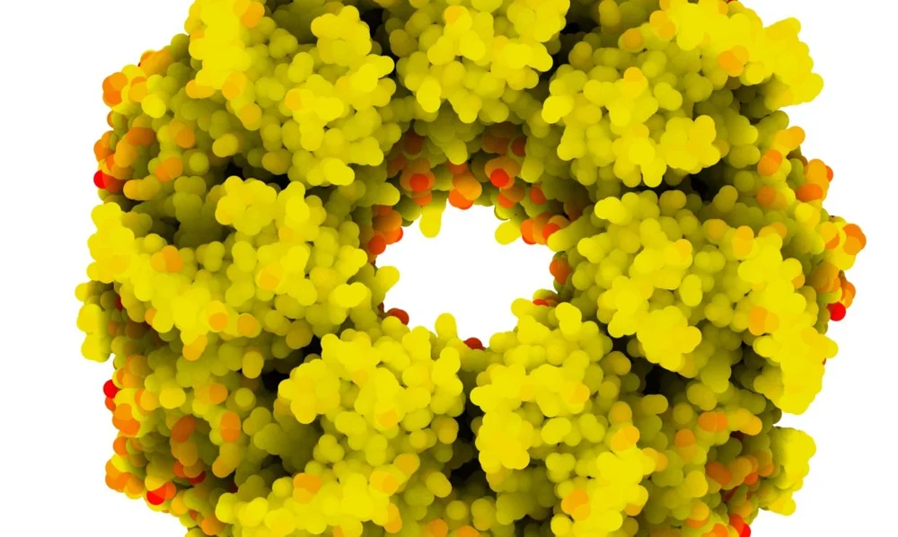 Services 3 — The Fried Lab
