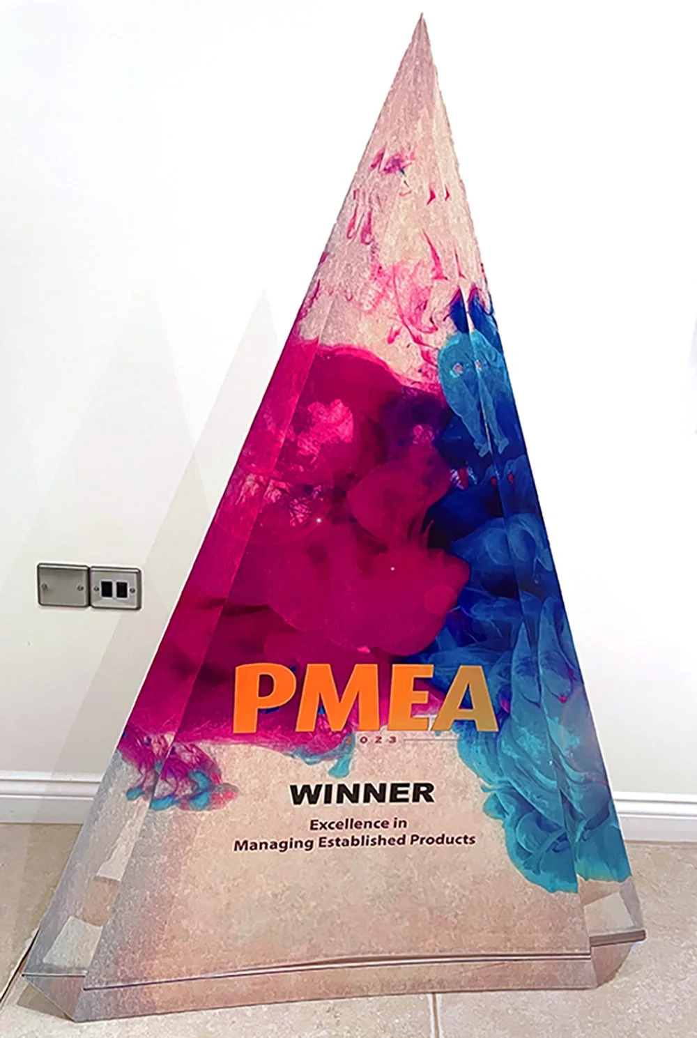 Large format Award.jpg