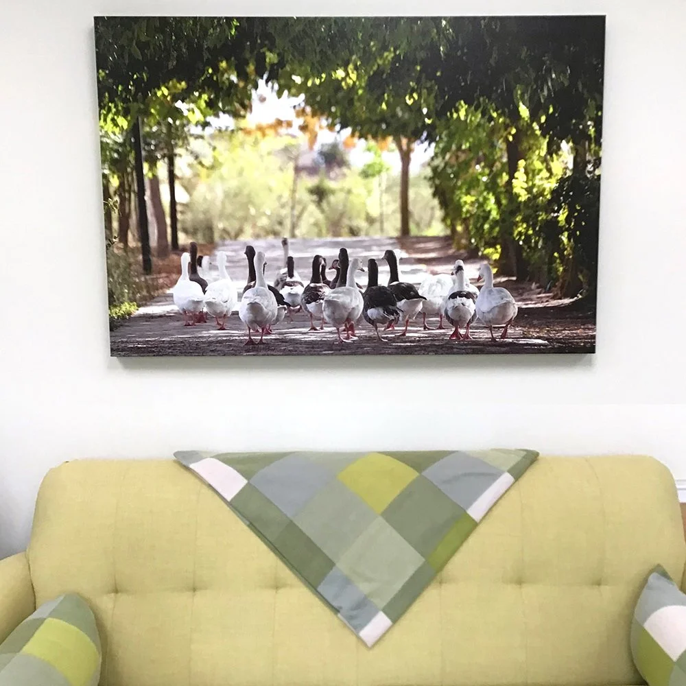 Pebbles Gander canvas.jpg