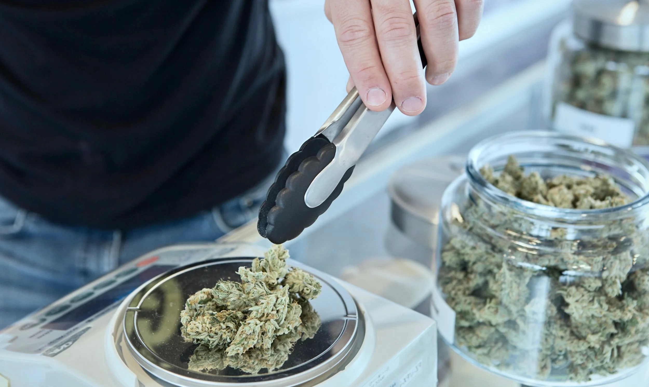 The Quiet Crisis No One Wants to Talk About in Colorado Cannabis:&nbsp; A Growers plea to the Industry…