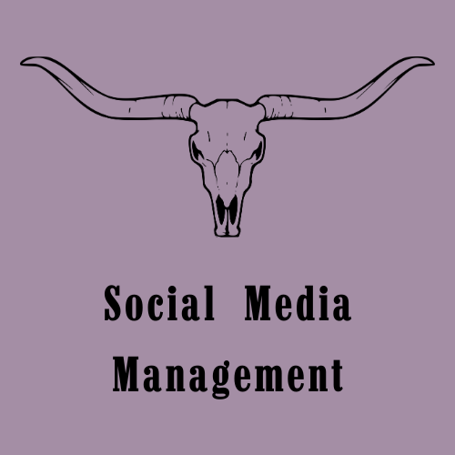 Social Media Management