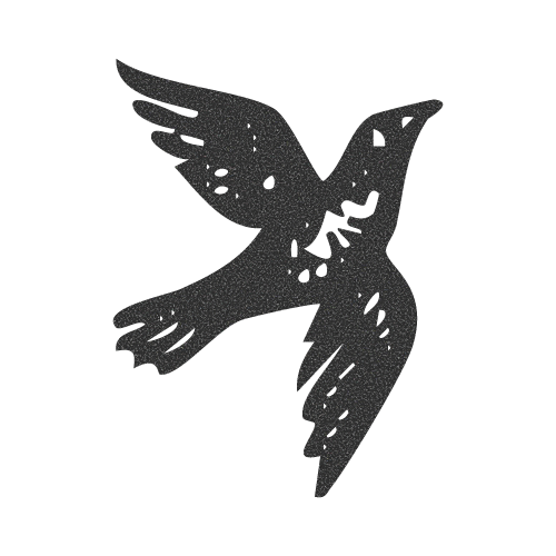 Silhouette of a bird in flight against a black background