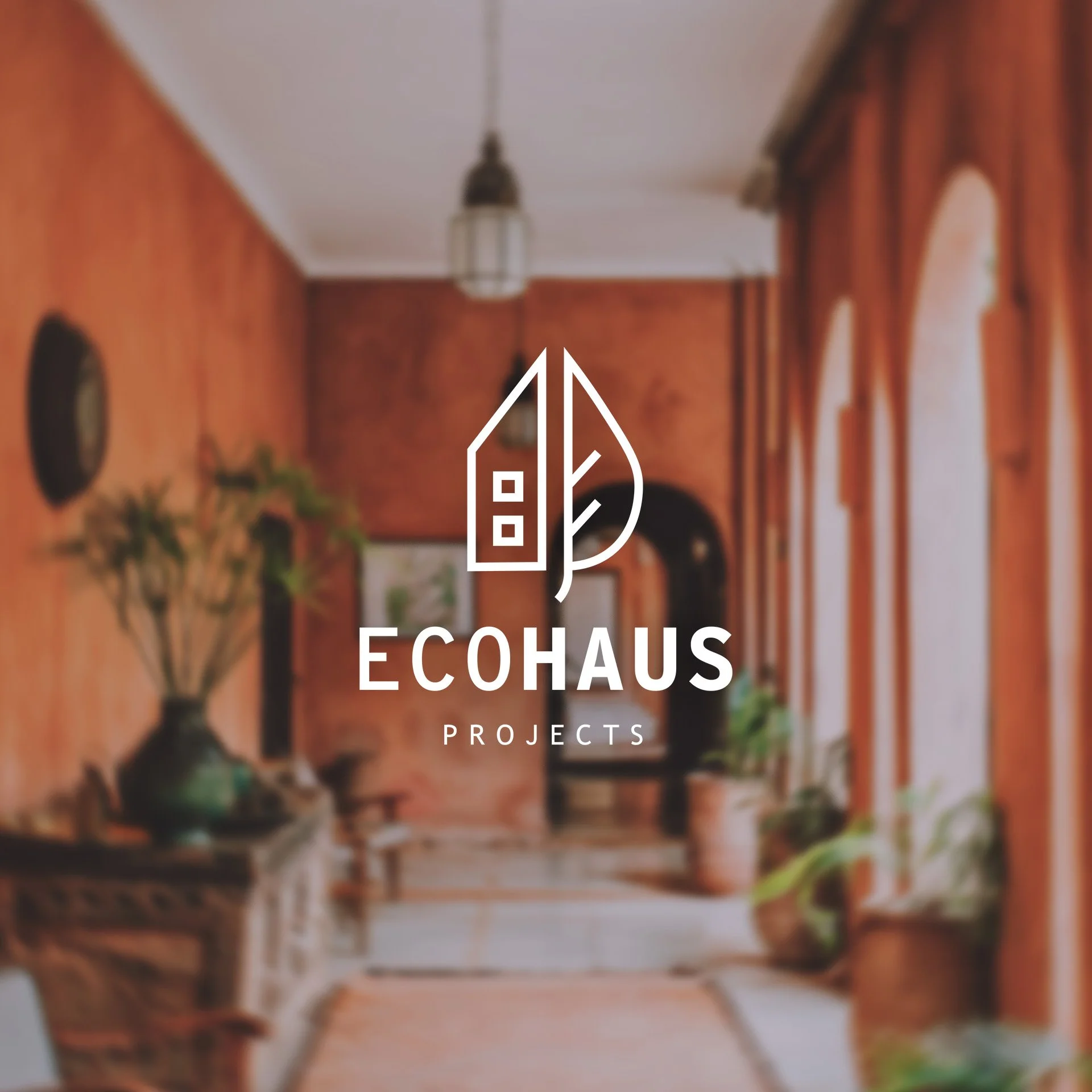 Interior of a house with orange-painted walls, decorative curtain drapes along windows, a ceiling light fixture, a vase with flowers, and a framed picture, with the Ecohaus Projects logo overlayed.
