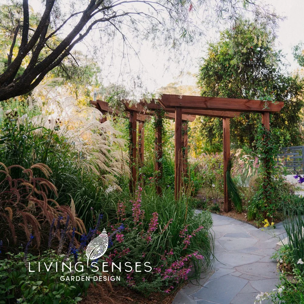 A lush garden with various plants and flowers surrounding a wooden pergola, with a stone pathway leading through it.