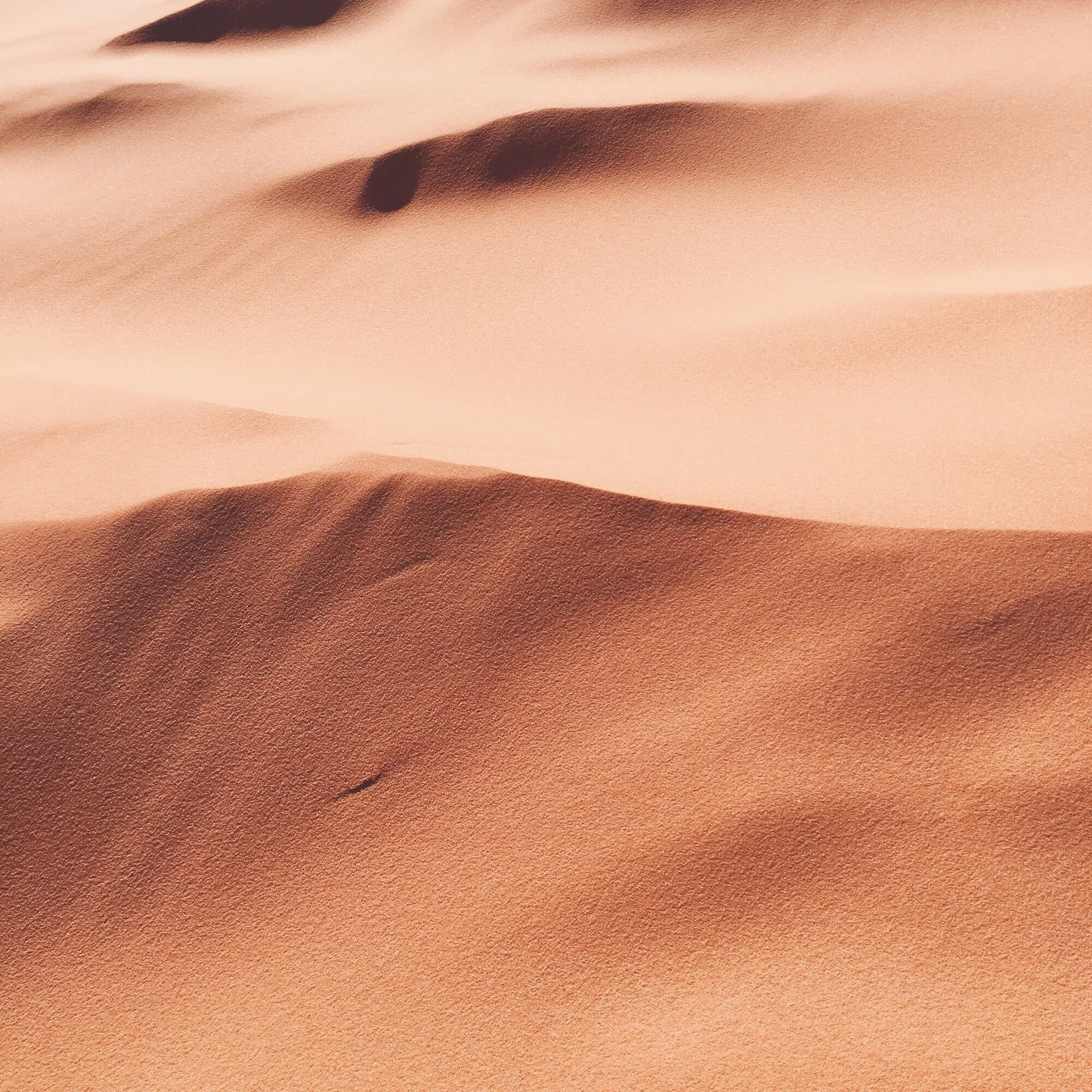 Close-up of a desert landscape with smooth sand dunes and a pinkish hue, under a clear sky.