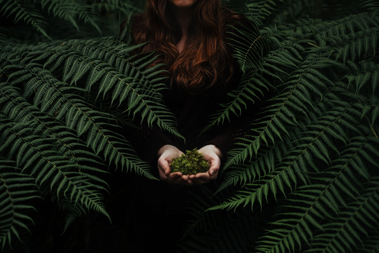 Person with long red hair holding moss in hands, surrounded by lush green ferns
