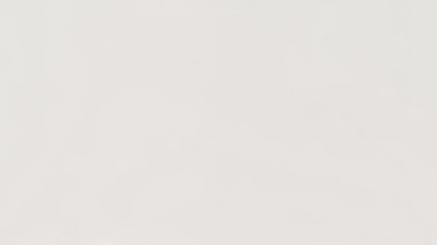 White Cliff by Cambria | Quartz | 3 CM | Polished
Retail $4,800 | Sale $3,000
