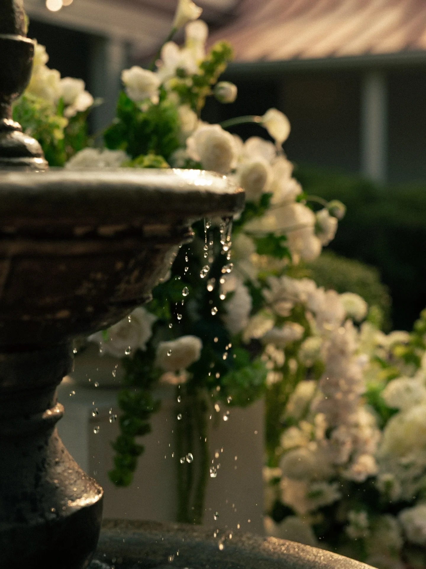 a morning with the lamberts at the @allandalemansion 

venue: @allandalemansion 
photo: @savanahmariephotography 2nd: @brandiellisonphotography 
video: @nathan_metcalf_photo 
dress: @jennyyoonyc 
florist: @flowersbytammyflorist 
content creator: @nan