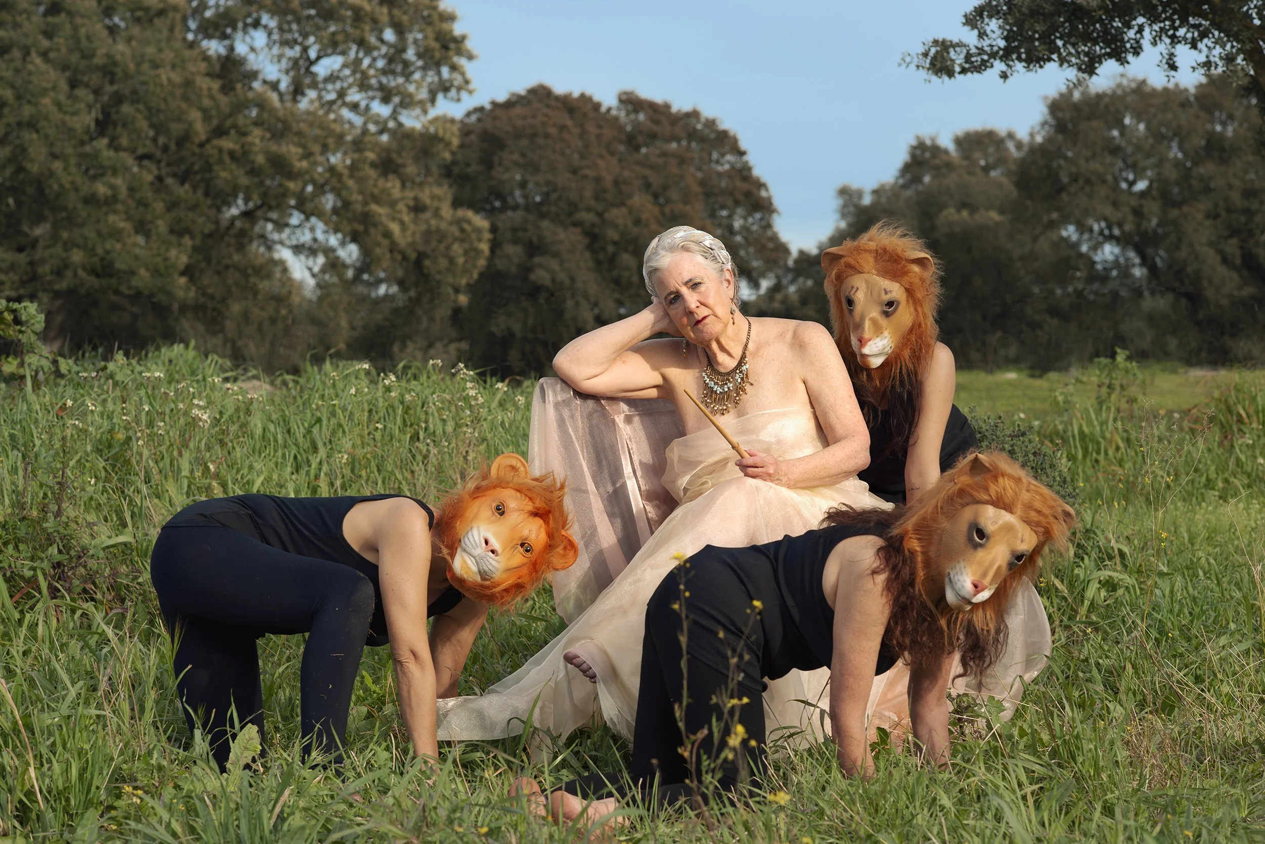 Lounging with the Lions