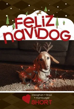 holiday card featuring a cute little puppy