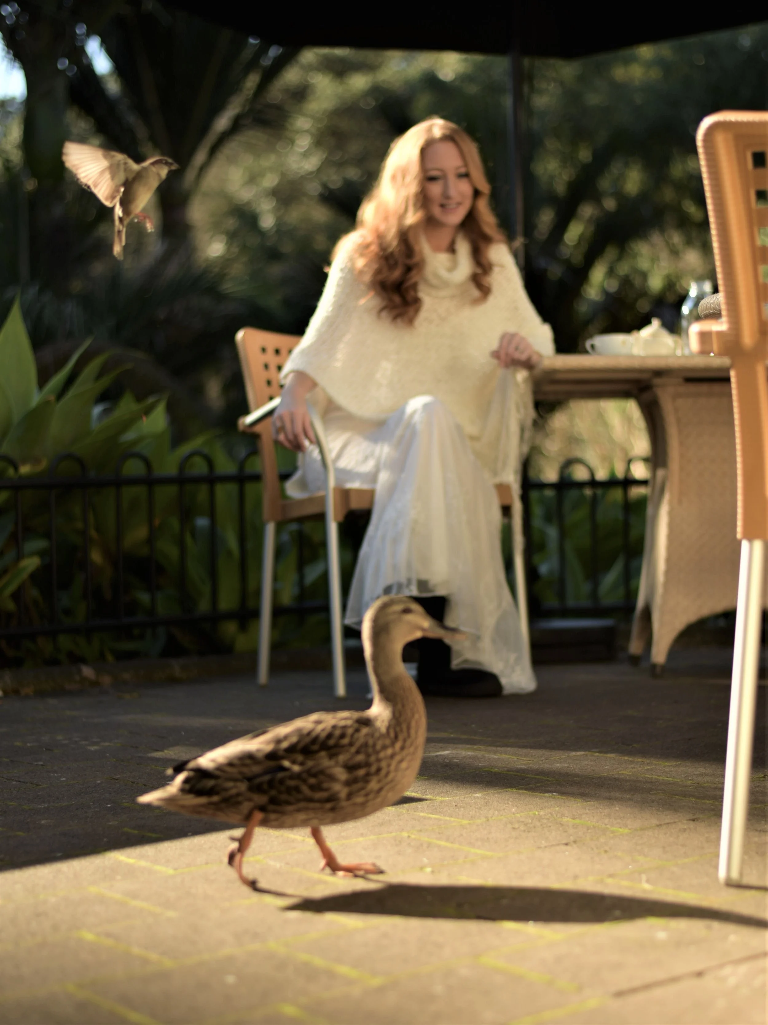 Photography by Nika Loran