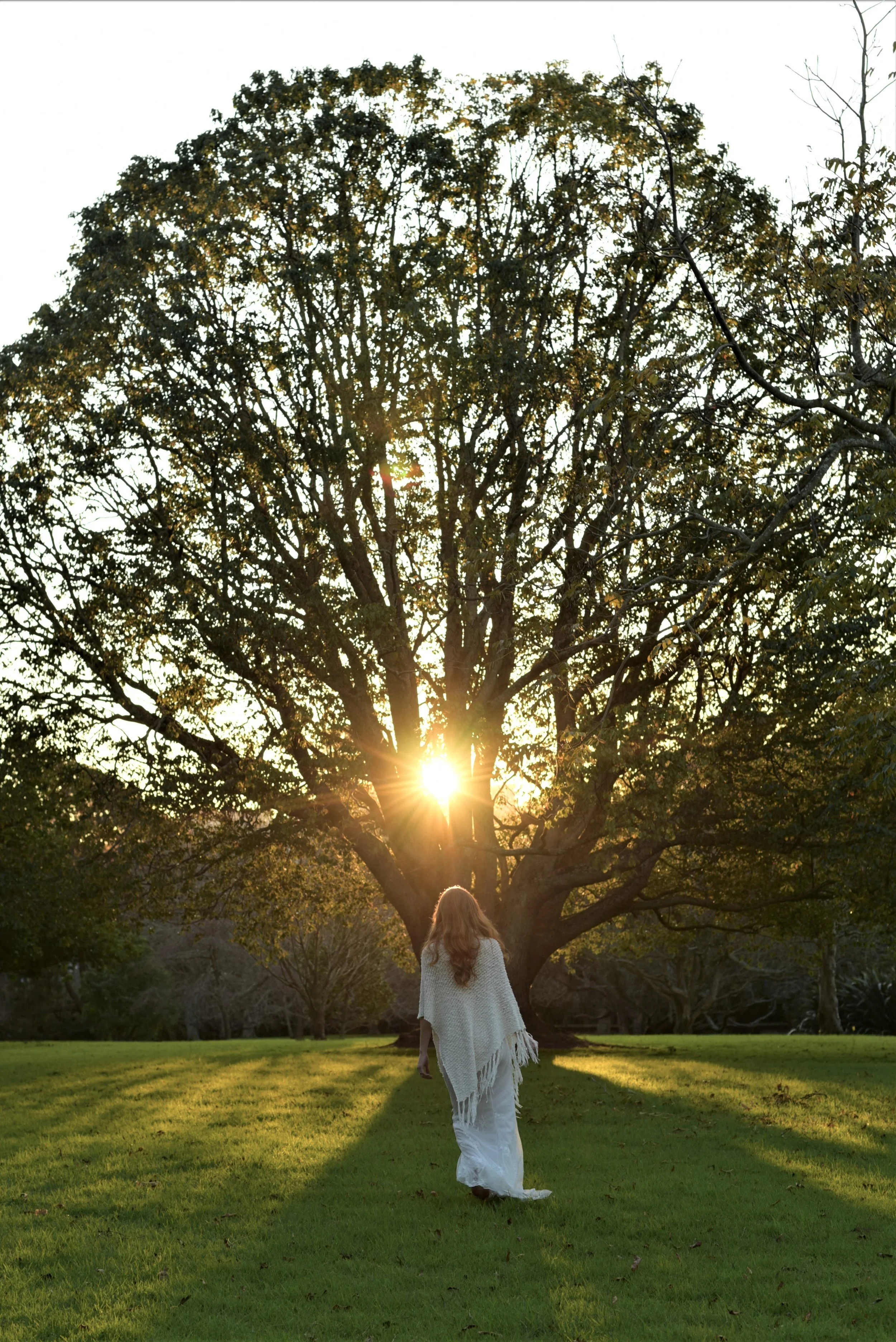 Photography by Nika Loran