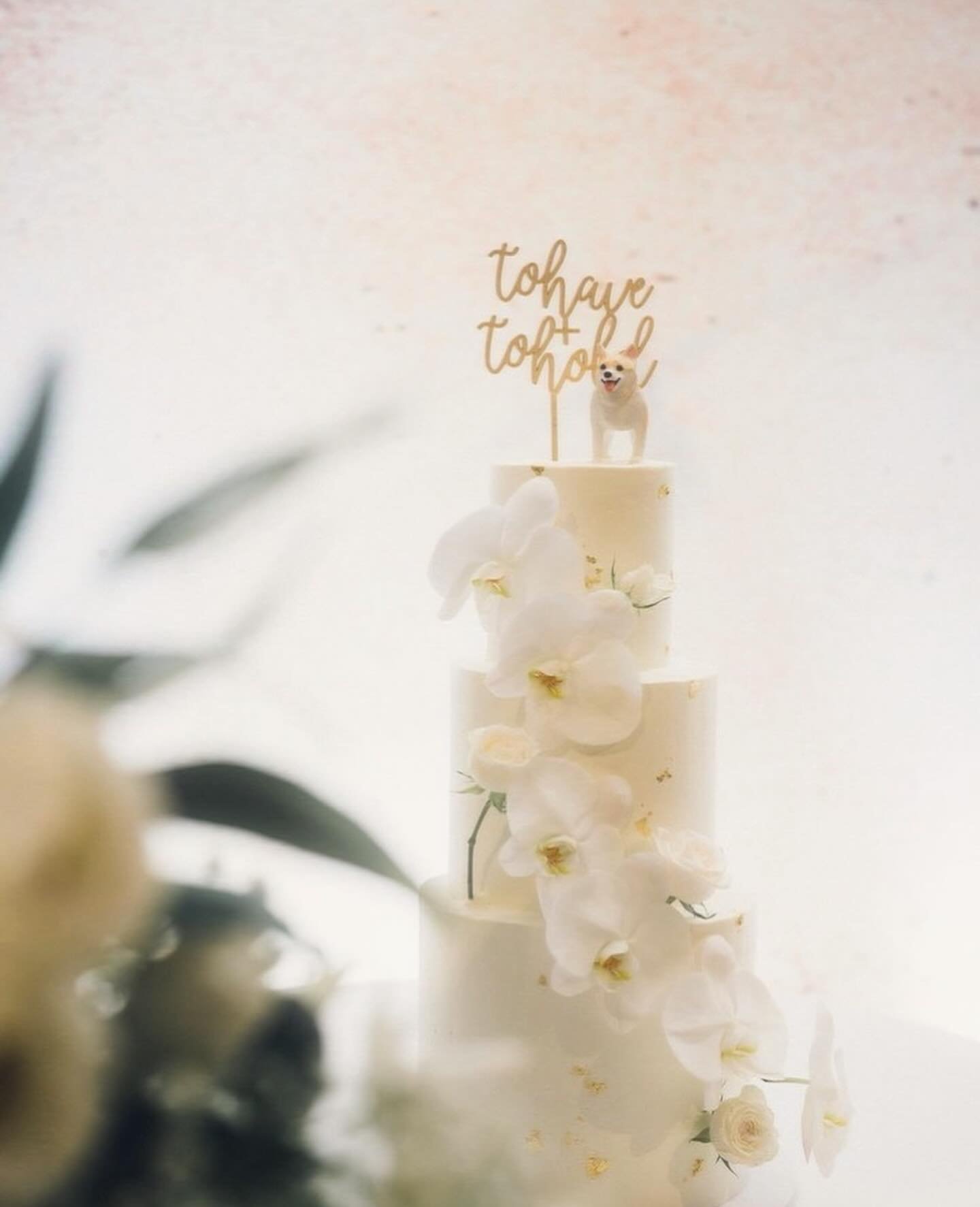 The cutest addition to a wedding cake♡