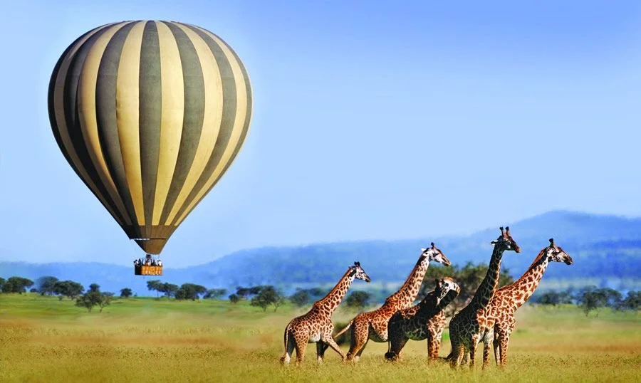 balloon over the serengeti.jpg