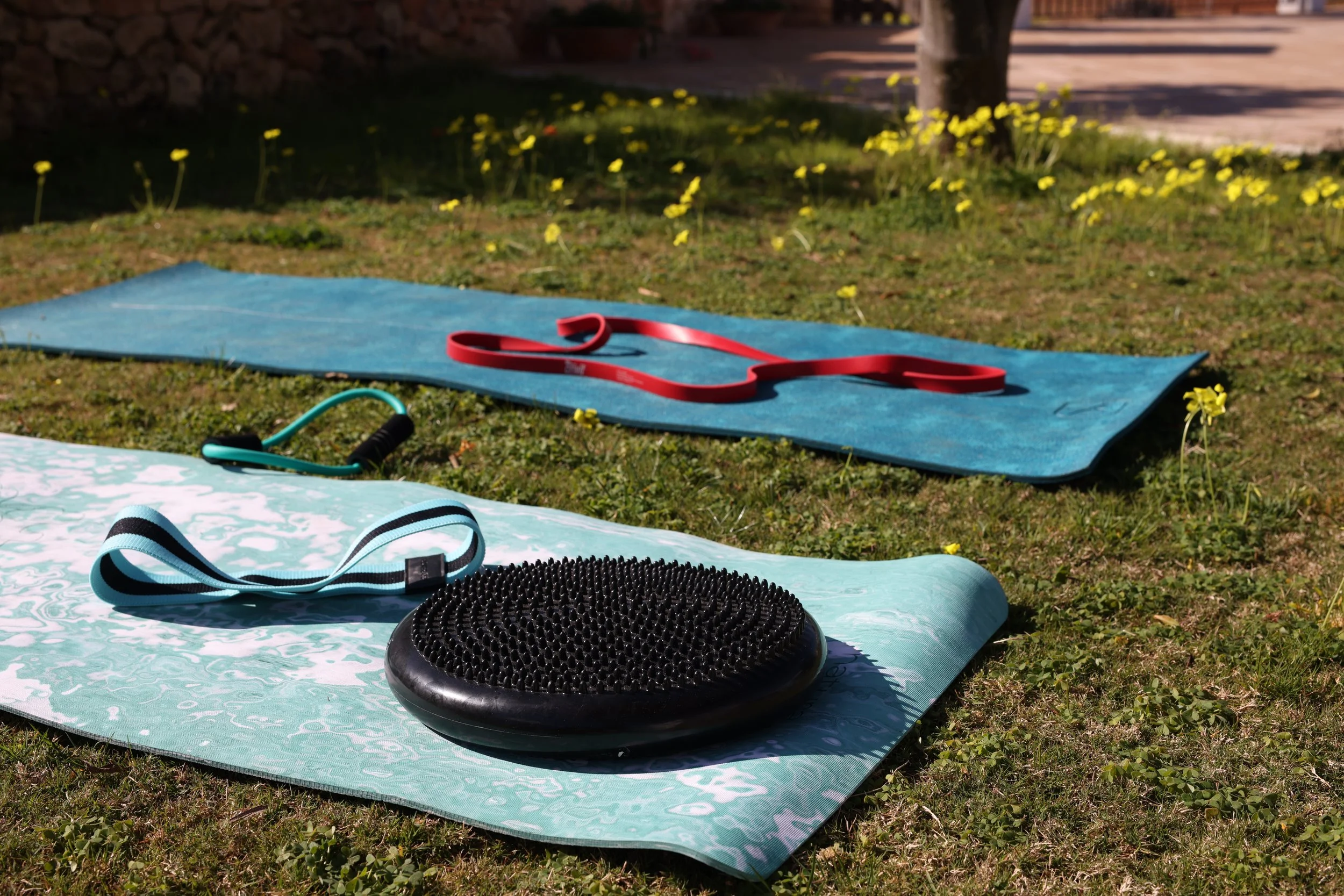 Yoga mats with fitness equipment outdoors on grass, with yellow flowers and a tree in the background.