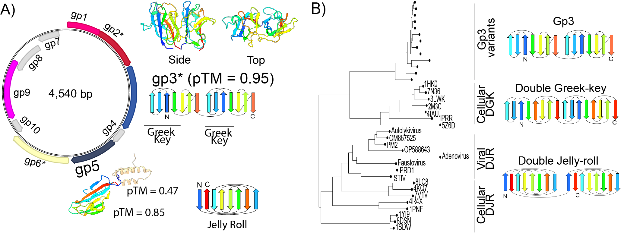 A mysterious new virus? - Preprint!