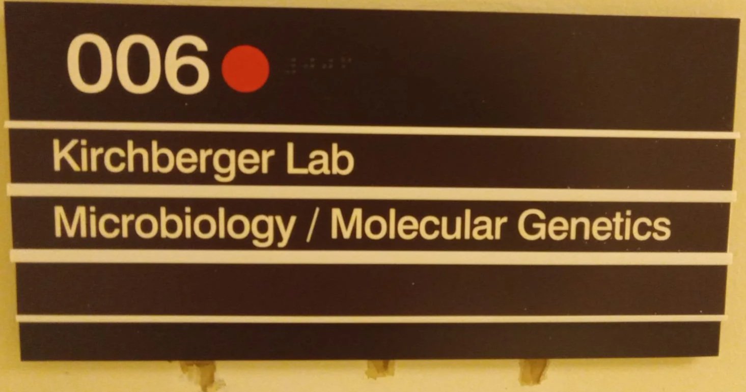 New labspace, new virus structures