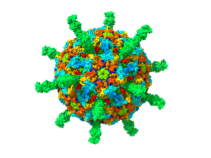 New phage, new preprint