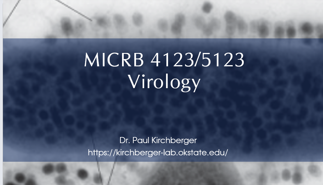 New Semester, new course, new lab members