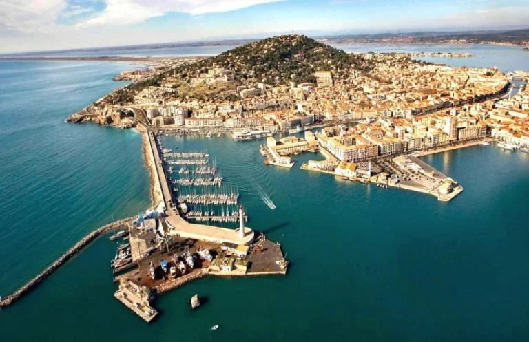 Keynote at International Symposium on single-stranded DNA Viruses, Sete, France