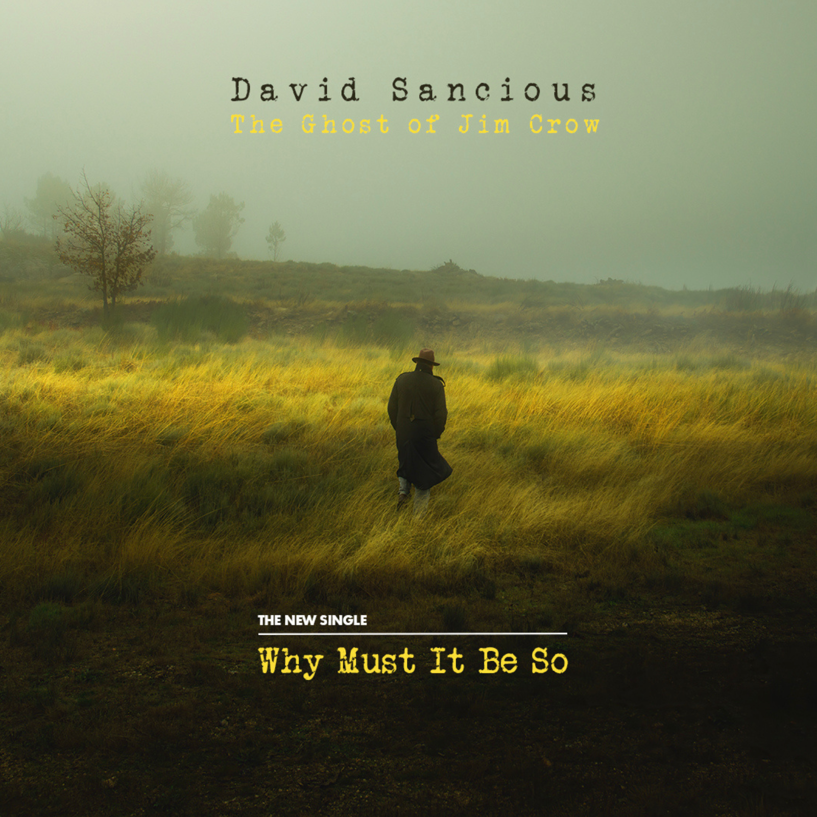 DAVID SANCIOUS: THE GHOST OF JIM CROW: WHY MUST IT BE SO