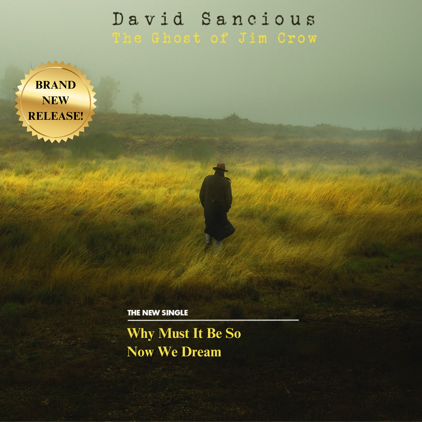 DAVID SANCIOUS GHOST OF JIM CROW.png