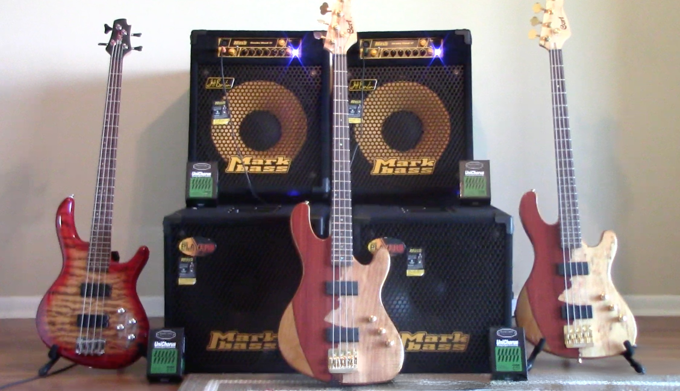 Five electric guitars displayed on wooden guitar stands, with two guitar amplifiers in the background. The guitars vary in color and wood finish, and are arranged in a row against a plain wall.