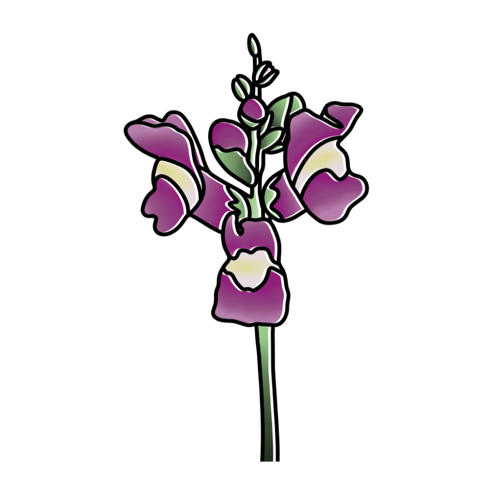 Living Well In-Between ~